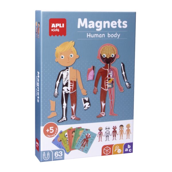 Magnetyczna układanka Ciało człowieka | Apli Kids