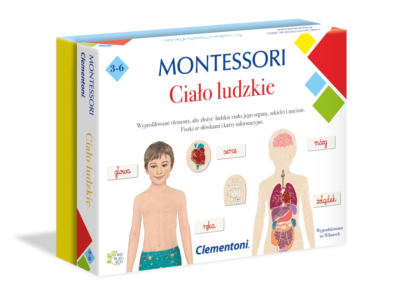 Montessori Ciało ludzkie | Clementoni
