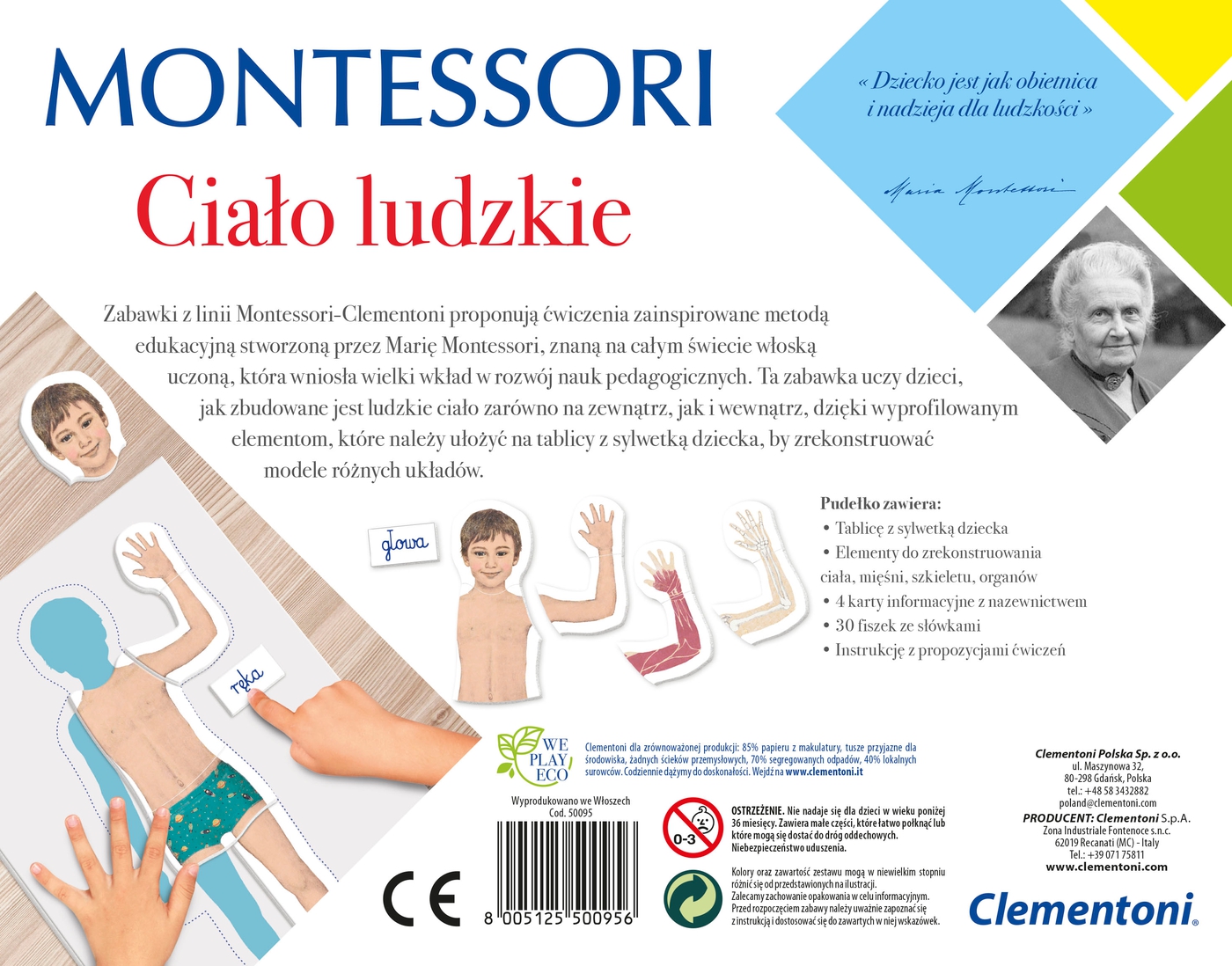 montessori-ciao-ludzkie_4PW7I8A