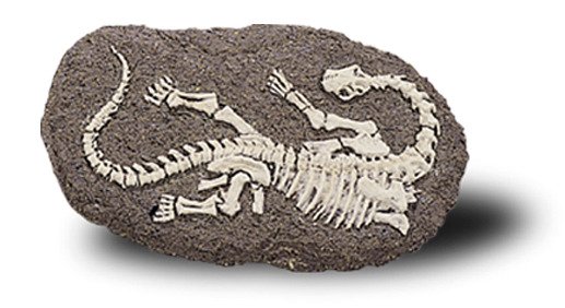 pol_pl_Bones-More-Duzy-szkielet-dinozaura-wykopalisko-na-kamieniu-1532_9