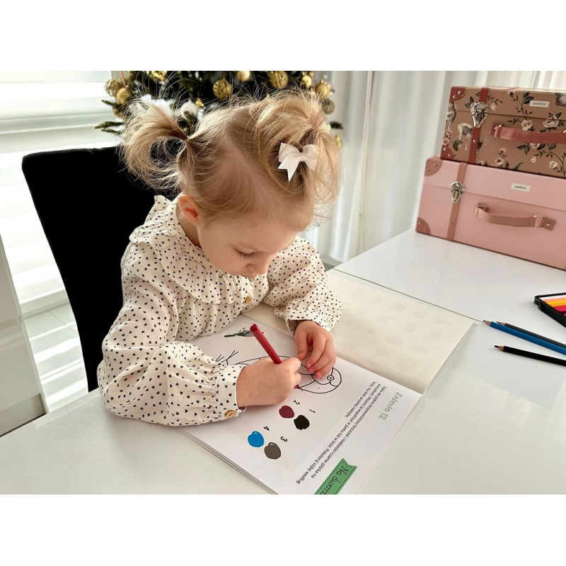 Kapitan Nauka Montessori Ćwiczenia malucha 2-3 lata - obrazek 3