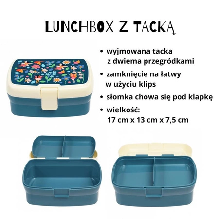 pol_pm_Zestaw-sniadaniowy-lunchbox-i-bidon-Wrozki-Rex-London-63719_3