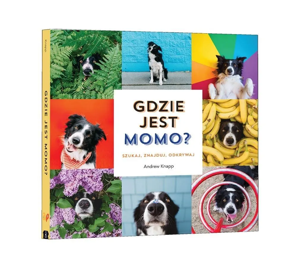 Książka Gdzie jest Momo?