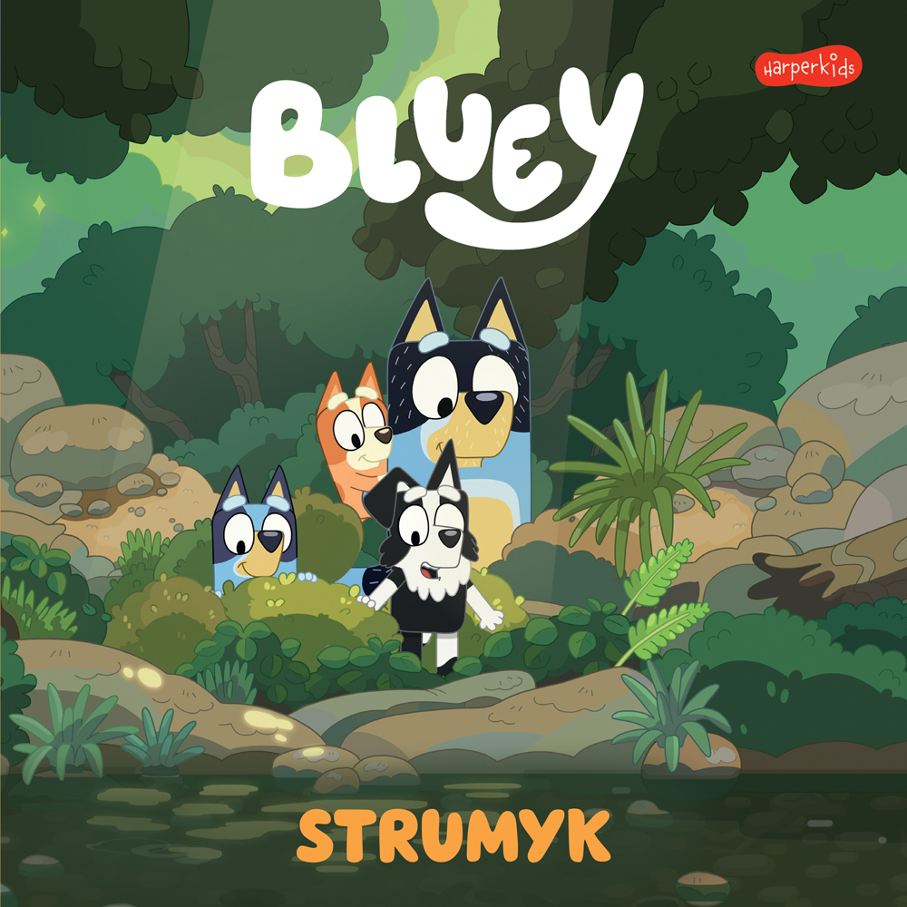 Książka Bluey Strumyk