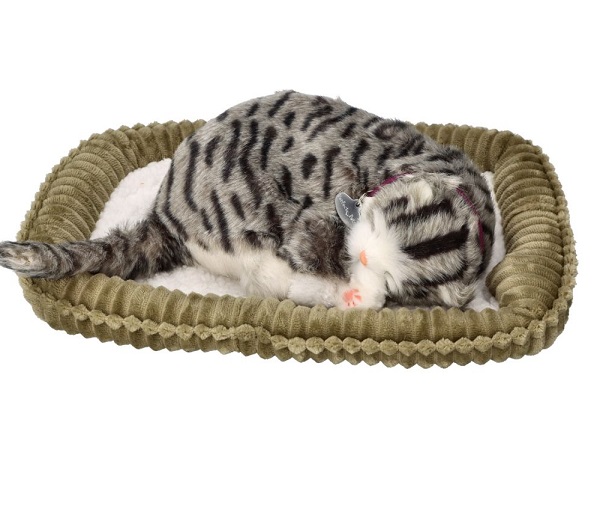 Śpiący kociak szary pręgowany  Perfect Petzzz