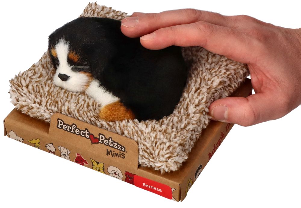 Śpiący szczeniaczek berneńczyk Perfect Petzzz