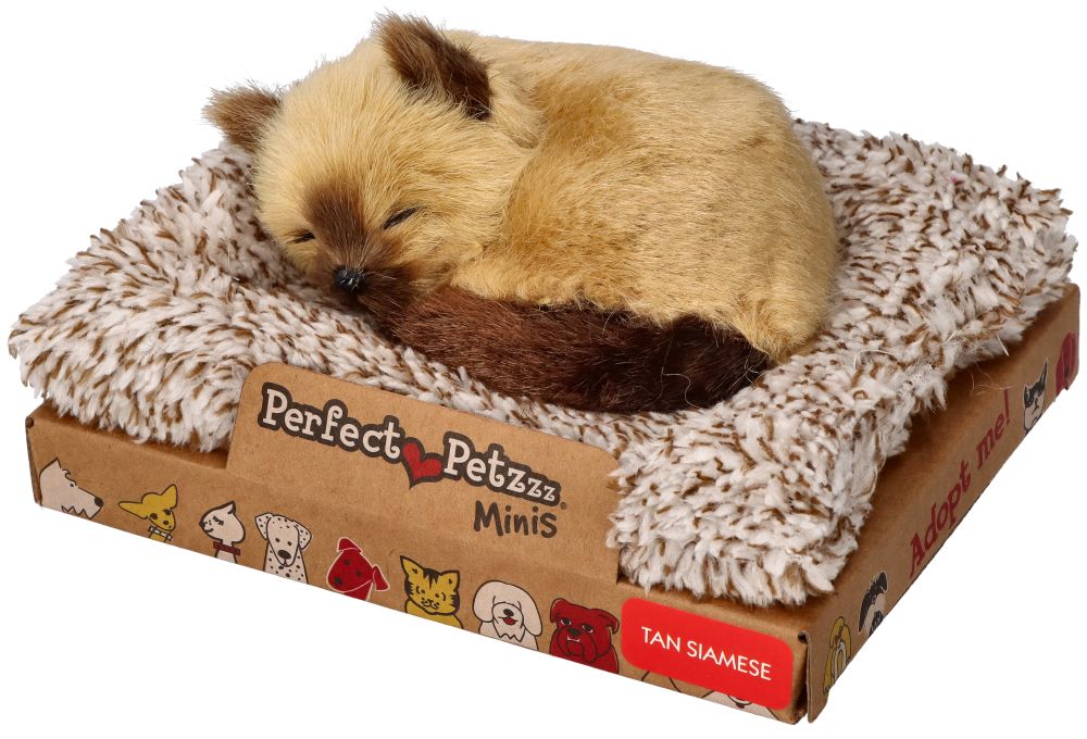 Śpiący kociak syjamski Perfect Petzzz