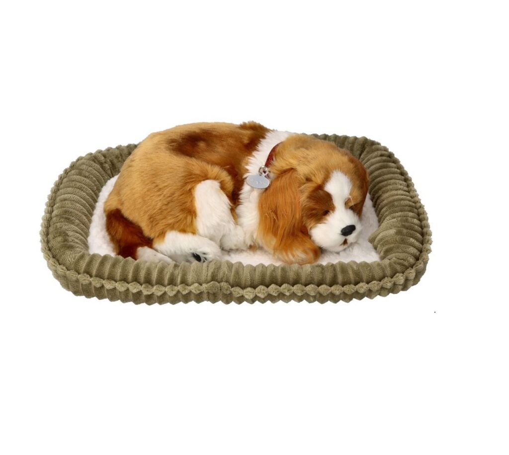 Śpiący Piesek Cavalier Perfect Petzzz