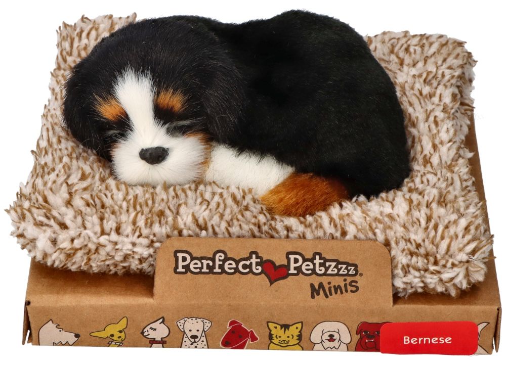 Śpiący szczeniaczek berneńczyk Perfect Petzzz - obrazek 2