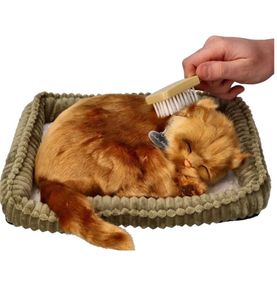 Śpiący kociak Angora Turecka Perfect Petzzz
