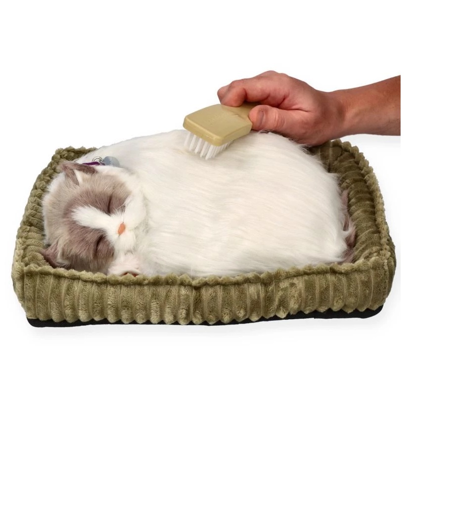Śpiący kociak Ragdoll Perfect Petzzz