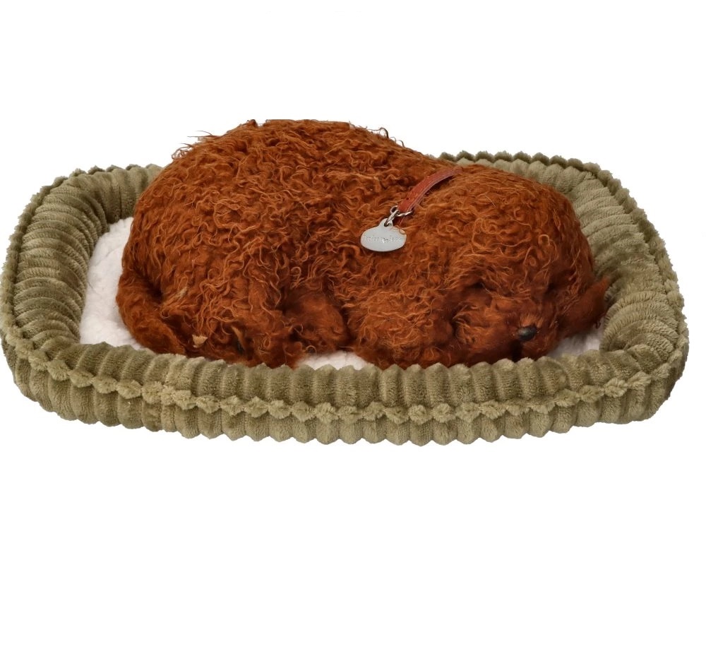 Śpiący szczeniaczek Pudelek Perfect Petzzz