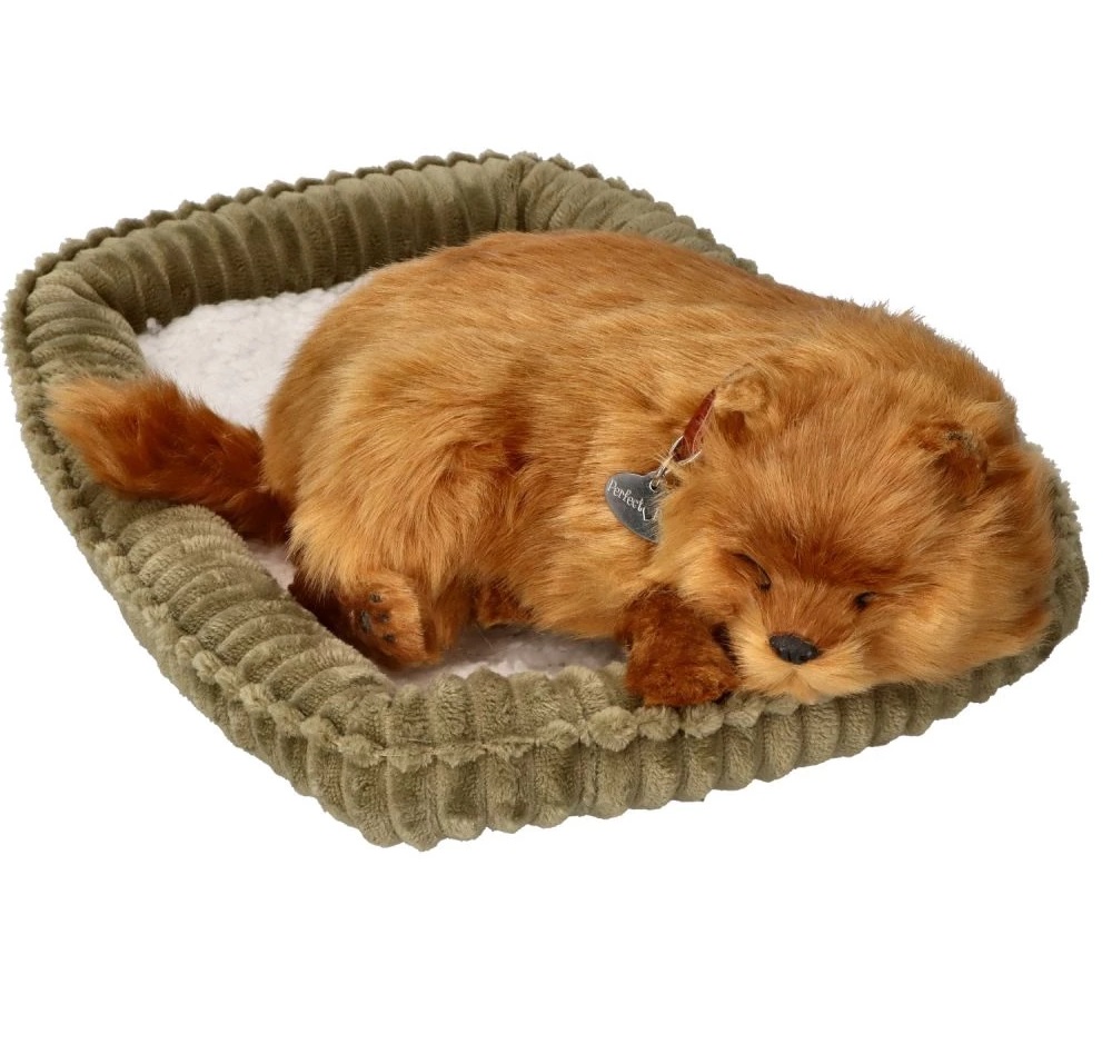 Śpiący szczeniaczek Pomeranian Perfect Petzzz