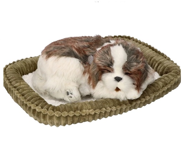 Śpiący pies Shih Tzu Petzzz