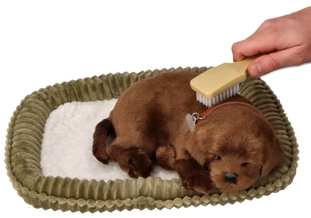 Śpiący pies Labrador brązowy Perfect Petzzz